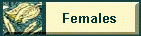 button.gif (3999 bytes)