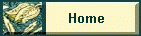 button.gif (3999 bytes)