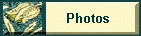 button.gif (3999 bytes)
